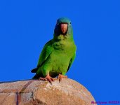 DSC_1758_001.JPG