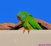 DSC_1761_001.JPG