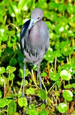 DSC_1910_stitch3_001.JPG