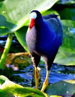 DSC_2041_001.JPG
