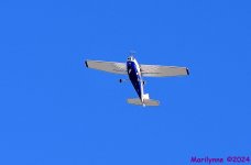 DSC_2079_001.JPG