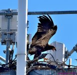 DSC_2272_001.JPG