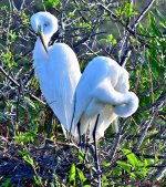 DSC_2472_stitch3_001.JPG