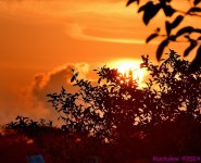 DSC_2492_001.JPG