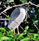 DSC_2765_001.JPG