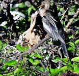 DSC_2825_001.JPG