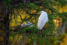 _DAB9475-topaz-denoiseraw.jpg