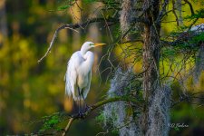 _DAB9502-topaz-denoiseraw.jpg