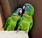 DSC_2898_001.JPG