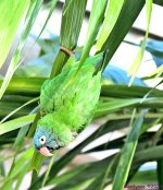 DSC_2988_stitch3_001.JPG