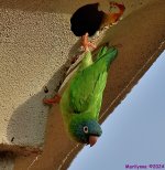 DSC_3025_001.JPG