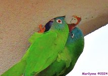 DSC_3041_001.JPG