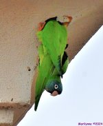 DSC_3044_001.JPG
