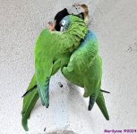 DSC_3047_001.JPG