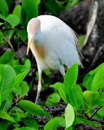 DSC_3183_001.JPG