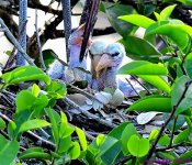 DSC_3274_001.JPG