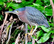 DSC_3325_001.JPG