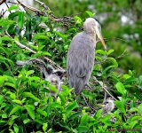 DSC_3470_001.JPG