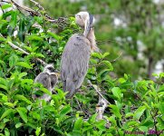 DSC_3473_001.JPG