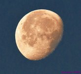 DSC_3501_001.JPG
