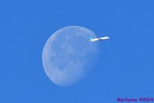 DSC_3629_001.JPG