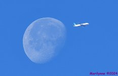 DSC_3631_001.JPG