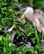 DSC_3760_001.JPG