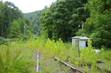 2019-08-14 Melrose NC - for upload.jpg