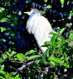 DSC_4024_001.JPG