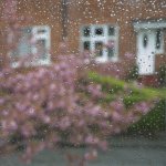 April_Showers.jpg