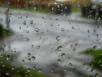 Incessant_Rain.jpg