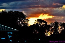 DSC_4662_001.JPG