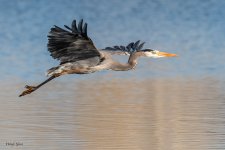 GBHFlight-752.jpg