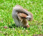 DSC_4802_stitch14_001.JPG