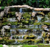 DSC_2317_001.JPG