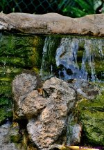 DSC_2321_stitch3_001.JPG