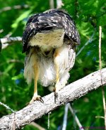 DSC_5463_001.JPG