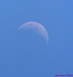 DSC_2324_stitch4_001.JPG