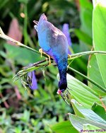 DSC_5609_001.JPG