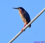 DSC_5622_001.JPG