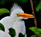 DSC_5628_001.JPG