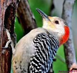 DSC_5764_001.JPG