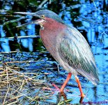 DSC_5775_001.JPG