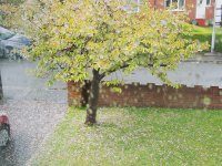 April_Showers-2.jpg