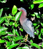 DSC_6327_001.JPG