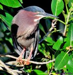 DSC_6367_001.JPG