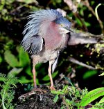DSC_6371_001.JPG