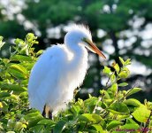 DSC_6479_001.JPG