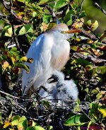 DSC_6576_001.JPG