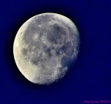 DSC_2348_stitch5_001.JPG